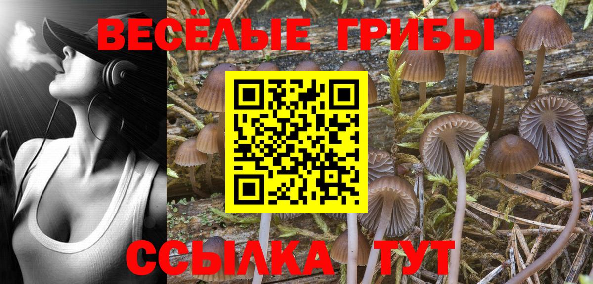 Галлюциногенные грибы Psilocybine cubensis  Вход с VPN  Арсеньев 