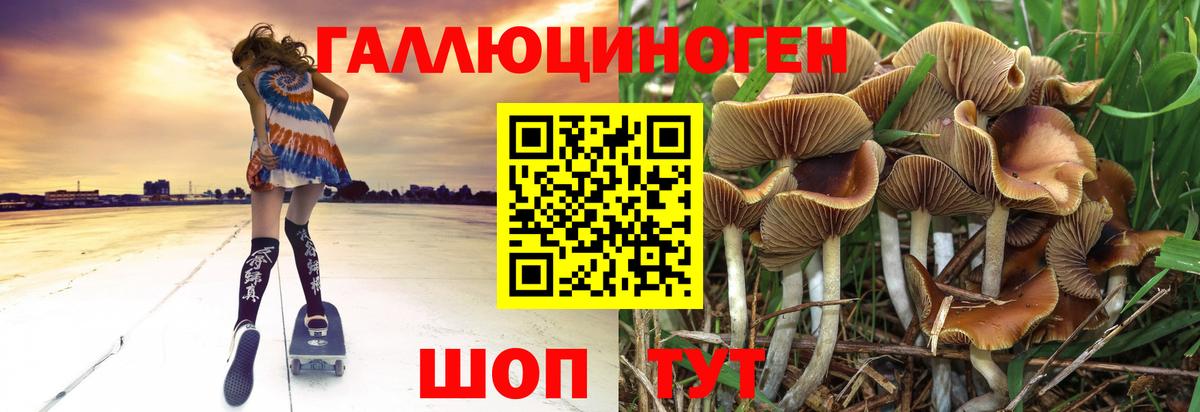 Псилоцибиновые грибы мухоморы Арсеньев